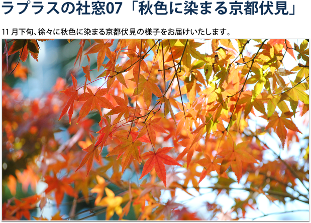 紅葉