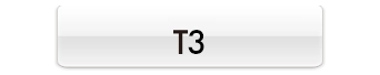 T3
