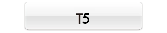 T5