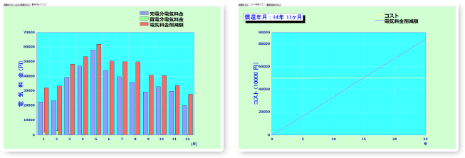 5.Detailed economic simulation