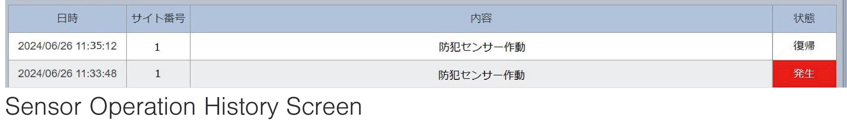 Security Option